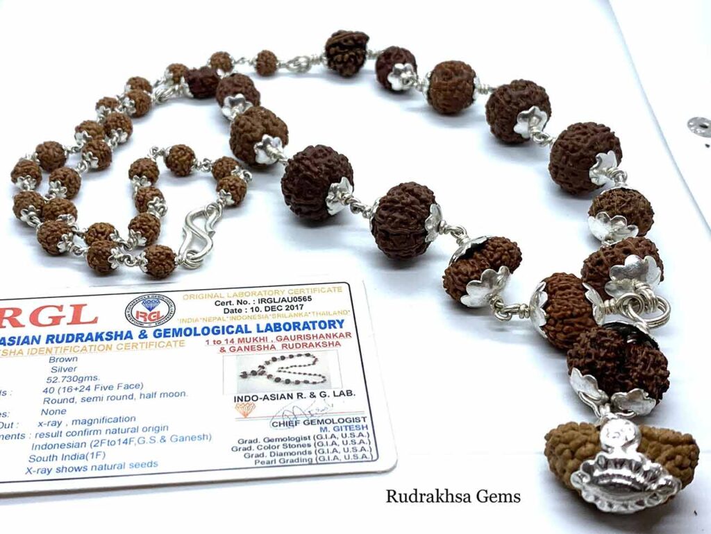 Siddha rudrakshas mala pour l'éveil de la kundalini